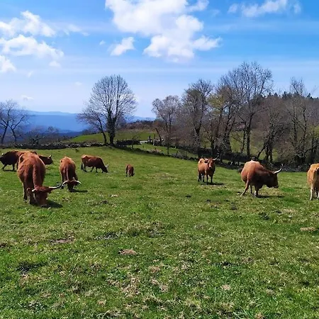 O Busto Aldea Rural, Horno 1 Appartamento Puebla Del Brollon