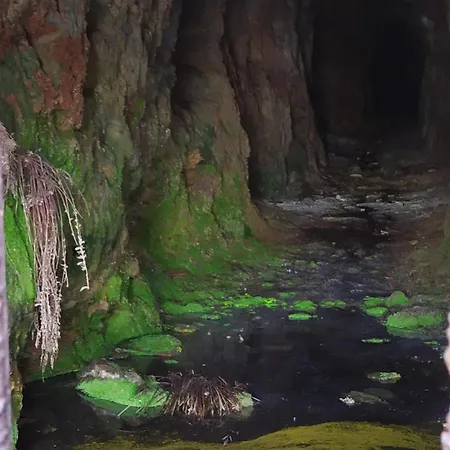 O Busto Aldea Rural, Horno 1 *