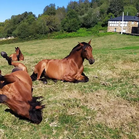 Appartamento O Busto Aldea Rural, Horno 1 Puebla Del Brollon